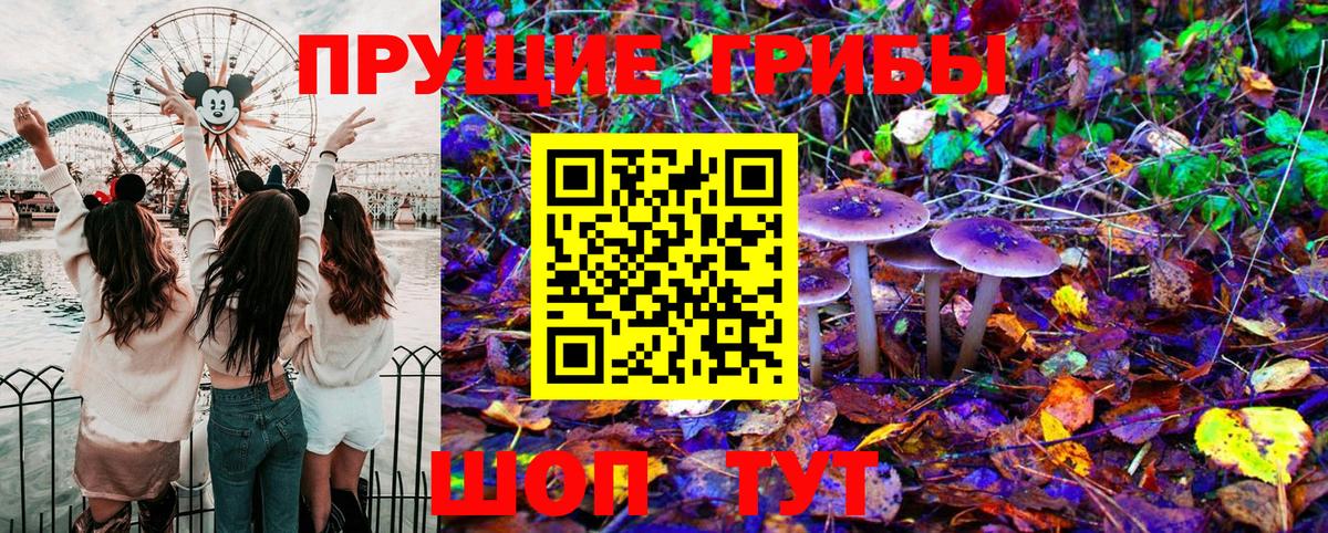 Псилоцибиновые грибы MAGIC MUSHROOMS  Вход с VPN  Ростов-на-Дону 