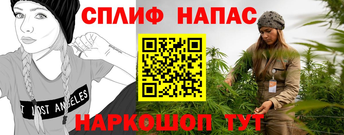 Ростов-на-Дону  Бошки Шишки планчик  Вход с VPN  Каннабис индика  Бошки марихуана тримм 